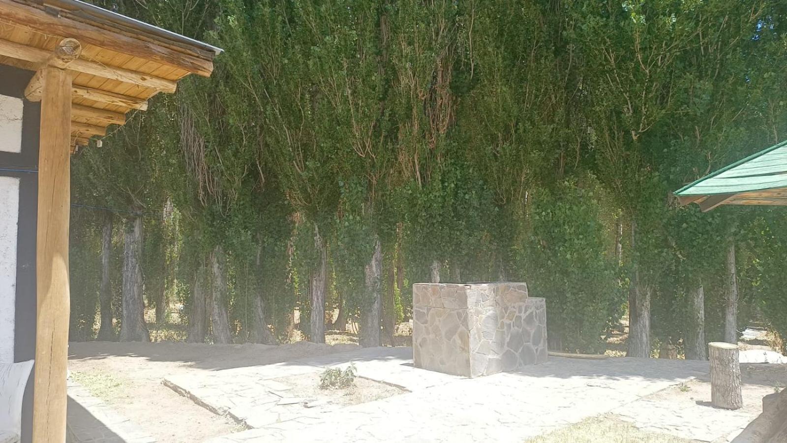 Cabanas De Los Andes Uspallata Exteriör bild