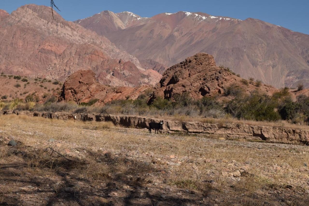 Cabanas De Los Andes Uspallata Exteriör bild